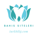 Bahis Siteleri